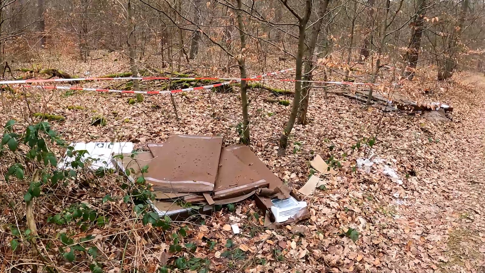 Illegal entsorgter Müll im Wald