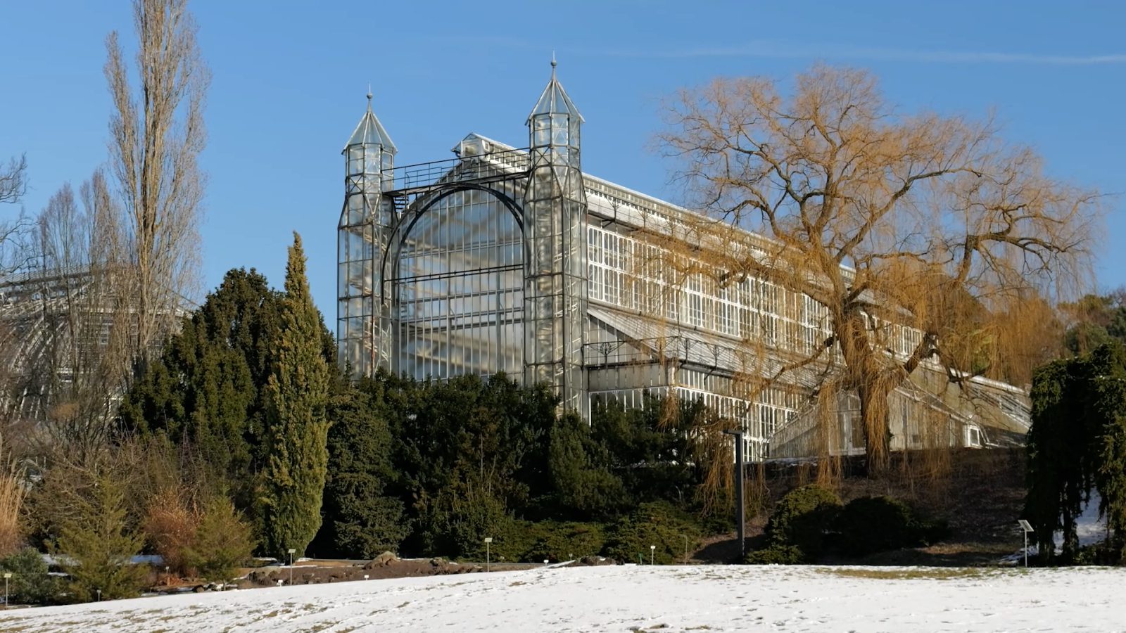 Erhaben steht das Mittelmeerhaus im Botanischen Garten Berlin