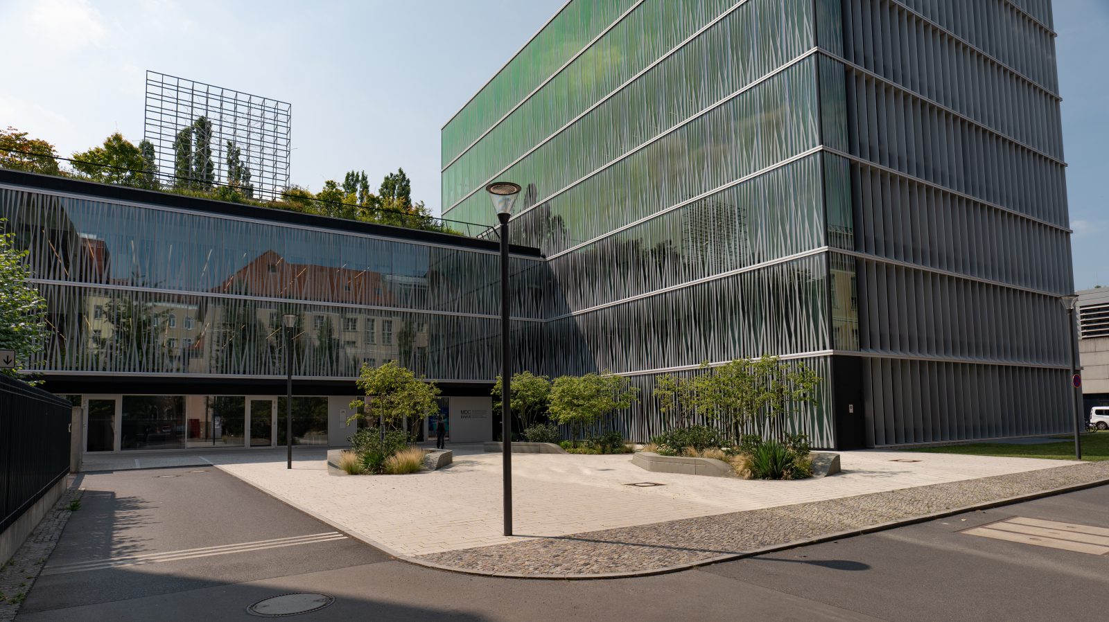 Vogelschutz am Max-Delbrück-Center in Berlin-Mitte. Die Scheiben haben Linien, die für Vögel als Hindernis erkennbar sind.